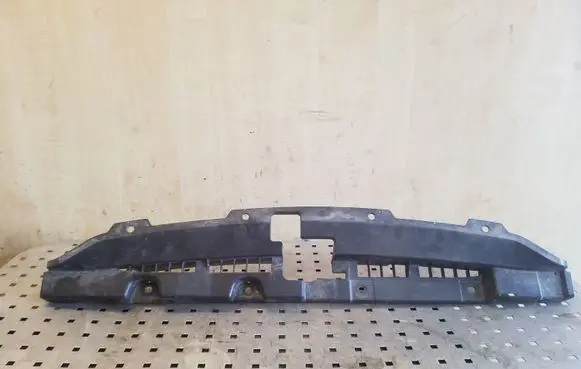 Engine bonnet/hood lock trim molding