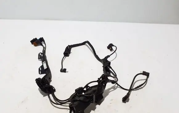 Other wiring loom