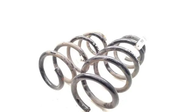 Rear coil spring