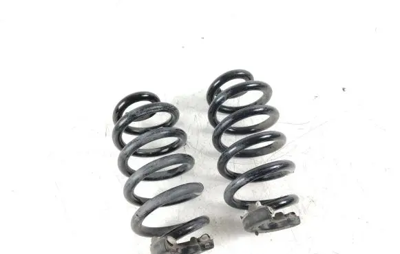 Volkswagen ID.4 Rear coil spring 1EA511103H