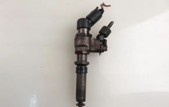 Peugeot Partner Fuel injector 9636819380