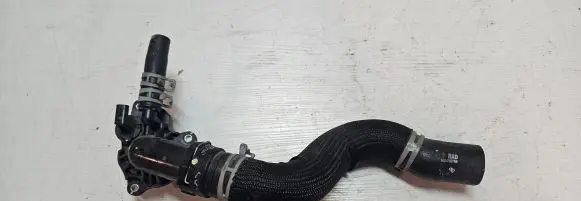 Thermostat/thermostat housing