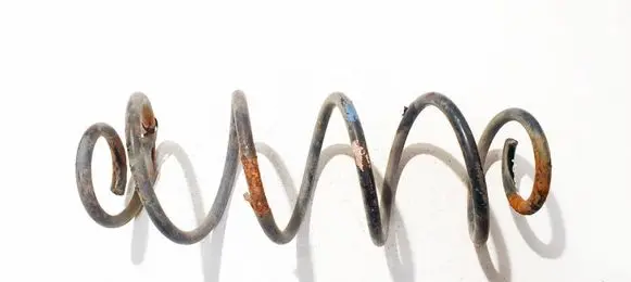 Citroen C2 Rear coil spring 