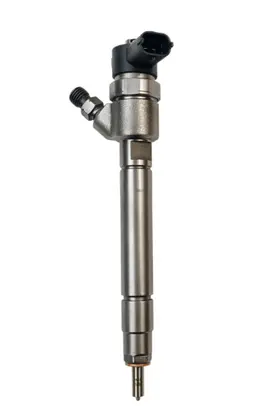 Volvo C30 Fuel injector 0445110251 0986435125