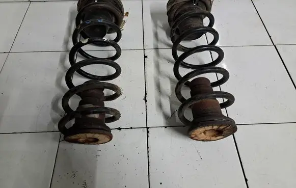 Rear coil spring