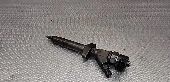 Renault Espace - Grand espace IV Fuel injector 8200084534 0445110084