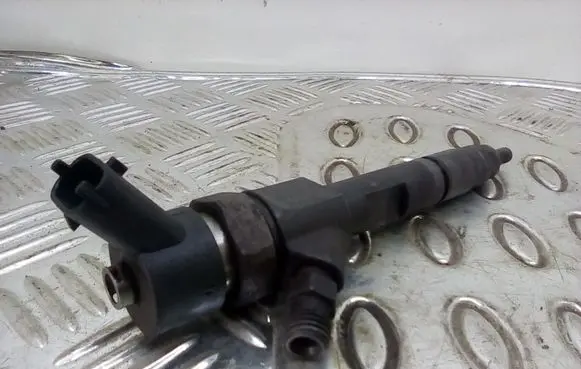 Renault Megane II Fuel injector 8200100272 0445110