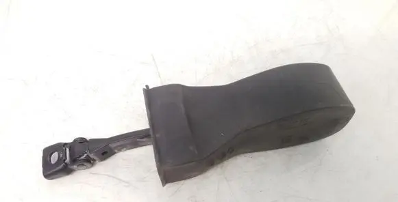 Volkswagen PASSAT B8 Front door check strap stopper 3G0837249A 3G0837267