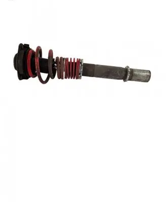 Volkswagen Golf V Front shock absorber/damper