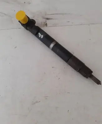 Mercedes-Benz Sprinter W906 Fuel injector 28342997 A6510704987