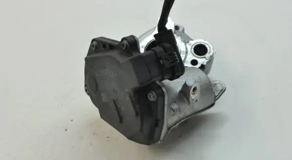 EGR valve
