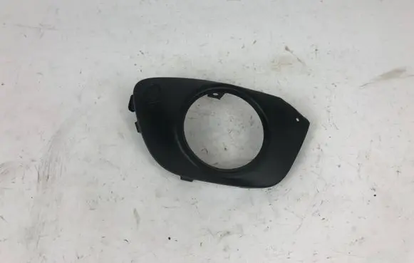 Front fog light trim/grill