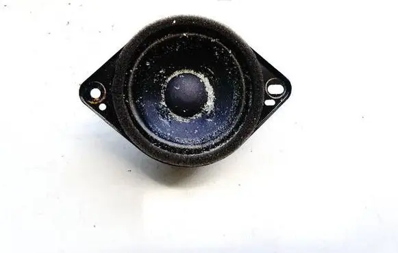 Front door speaker