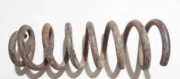 Peugeot 406 Rear coil spring