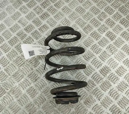 Nissan Leaf II (ZE1) Rear coil spring 550205SJ1B