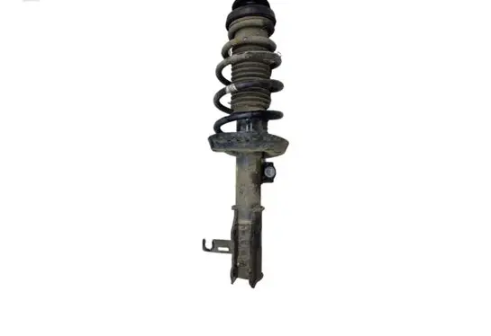 Opel Zafira C Front shock absorber with coil spring 13354037
