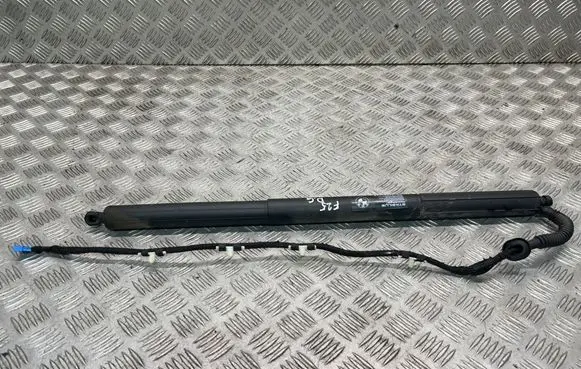 BMW X3 F25 Tailgate/trunk strut/damper 7232004
