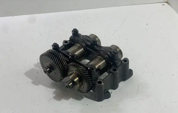 Renault Koleos I Balance shaft 8200488527