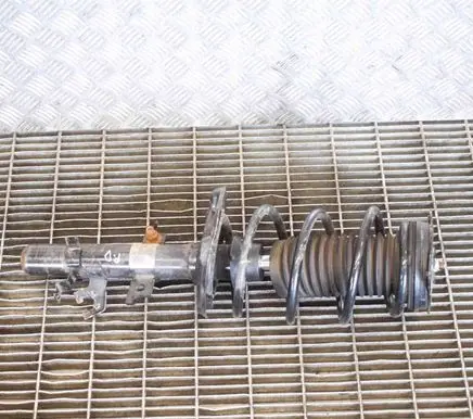 Nissan Qashqai Front shock absorber/damper 1A19256A 54302HV01A