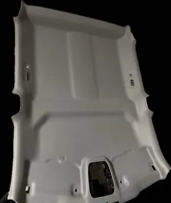 Ford F150 Headlining 42024427AM 195070290