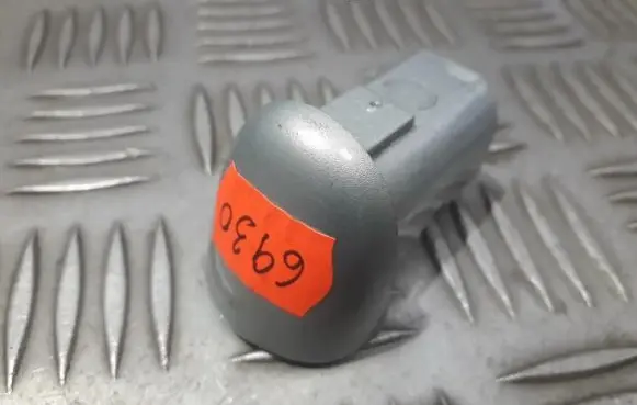 Renault Laguna II Loading door cover/cap 8200028784