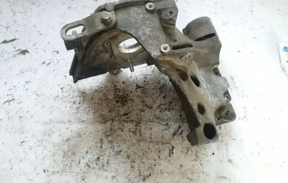Opel Zafira B Fuel pump bracket 55187918