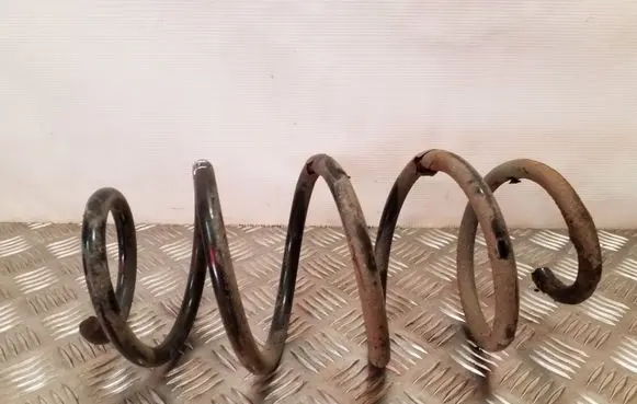 Skoda Yeti (5L) Front coil spring
