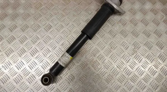 Toyota C-HR I Rear shock absorber/damper 48530F4020