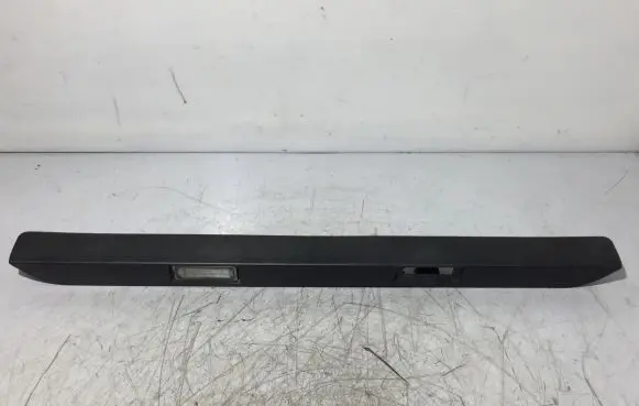 Trunk door license plate light bar