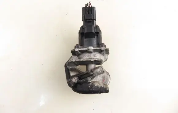 Peugeot 307 EGR valve