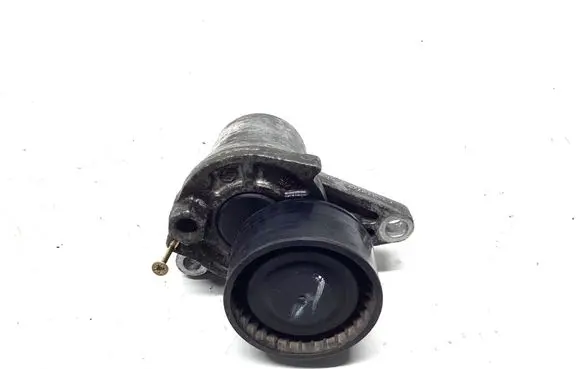 Nissan Qashqai Alternator belt tensioner 117505337R