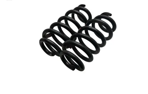 Rear coil spring