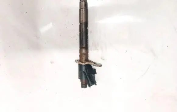 Volvo C30 Fuel injector 313032382332 110906