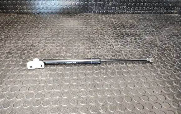 Renault Captur Tailgate/trunk strut/damper 844301324R