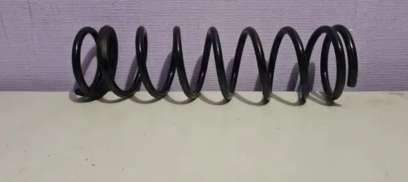 Ford Focus Rear coil spring 2M515B669CA 1143702