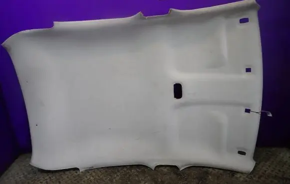 Citroen C3 Headlining 
