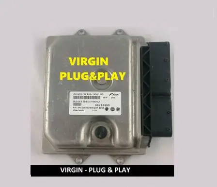 Engine control unit/module ECU