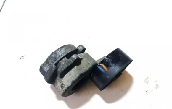Fiat Doblo Generator/alternator belt tensioner 950502