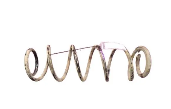 Rear coil spring