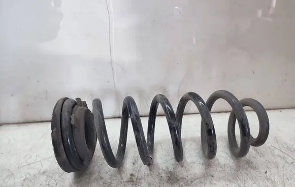 KIA Sportage Rear coil spring
