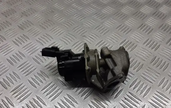Citroen C3 EGR valve