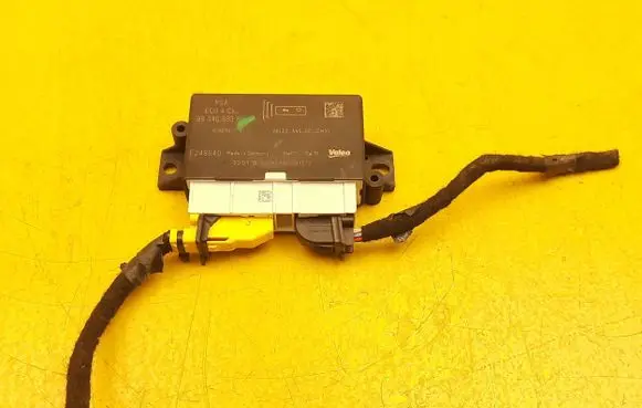 Citroen DS7 Crossback Other control units/modules 9834699380