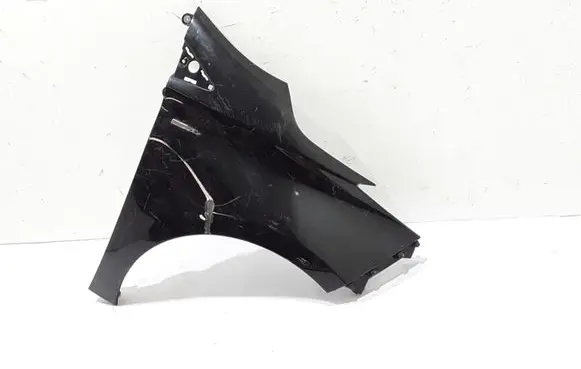 Renault Zoe Fender 631009208R
