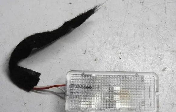 Renault Clio IV Glove box light 