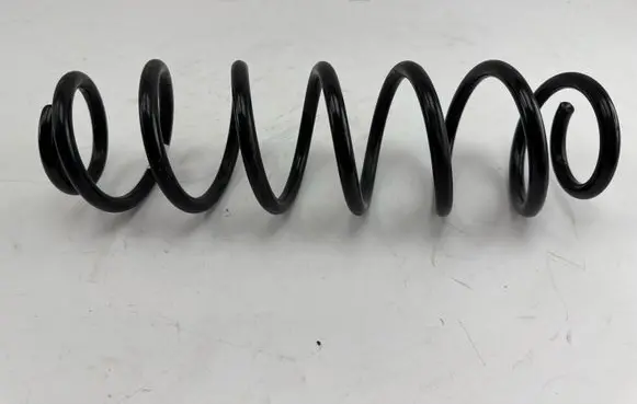 Rear coil spring
