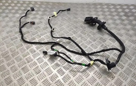 Rear door wiring loom