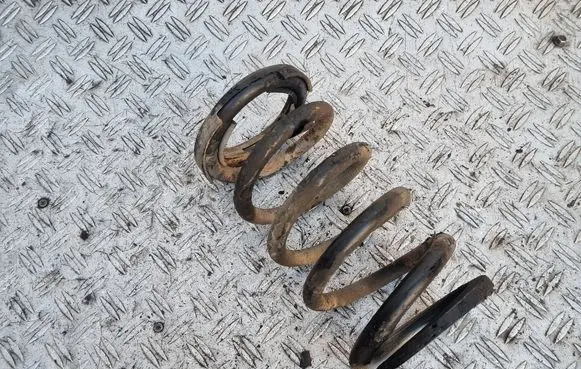 Mitsubishi Grandis Rear coil spring