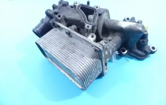 Oil filter mounting bracket