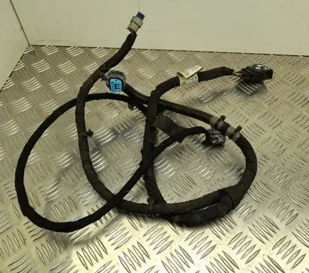 Ford Edge II Other wiring loom F2GT14A069HE