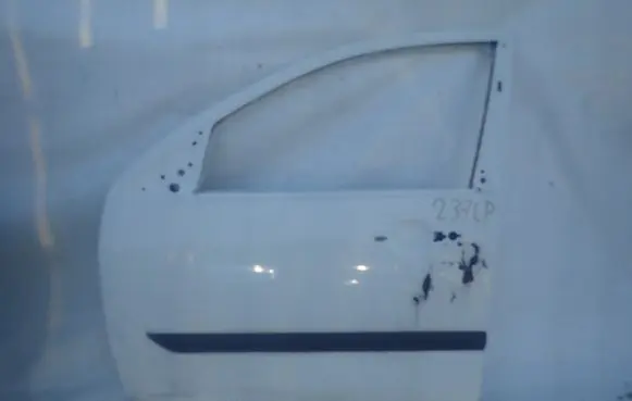 Ford Focus Front door
